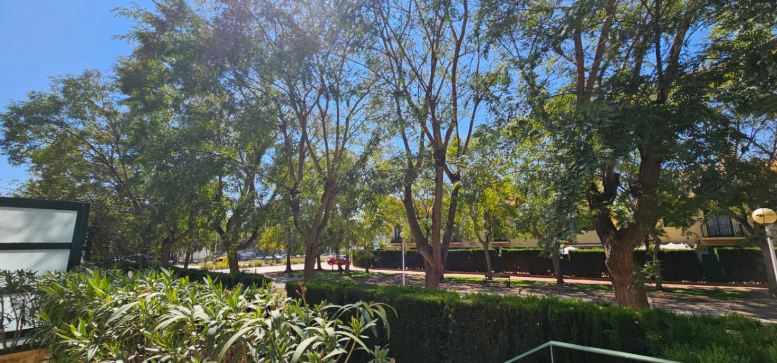 Vue depuis la terrasse sur les espaces verts communautaires, avec des arbres matures et des haies taillées sous un ciel bleu dégagé.