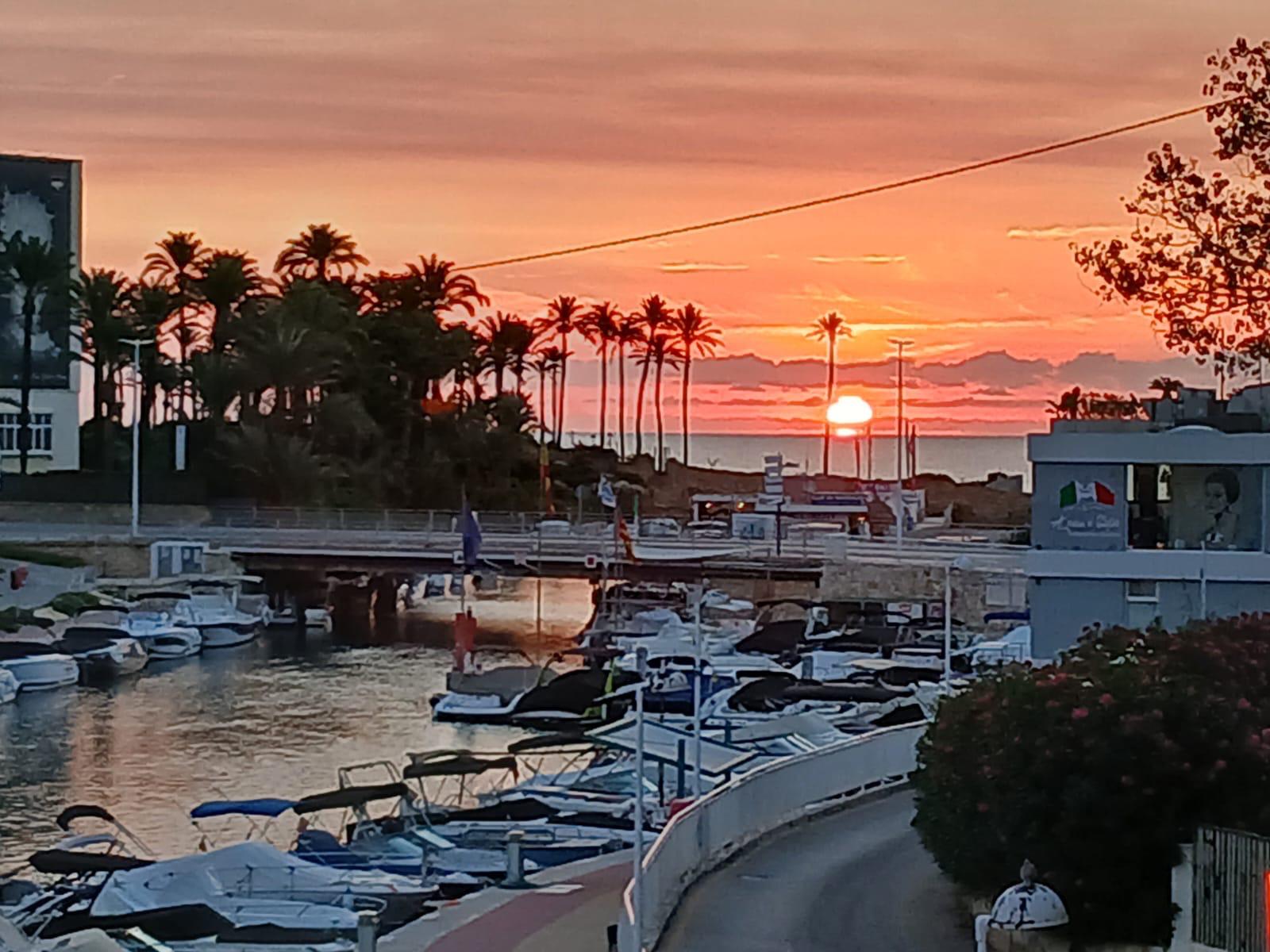 Vues panoramiques sur la marina et le canal au coucher du soleil, avec des bateaux amarrés et des silhouettes de palmiers sur un ciel orangé à l'horizon.