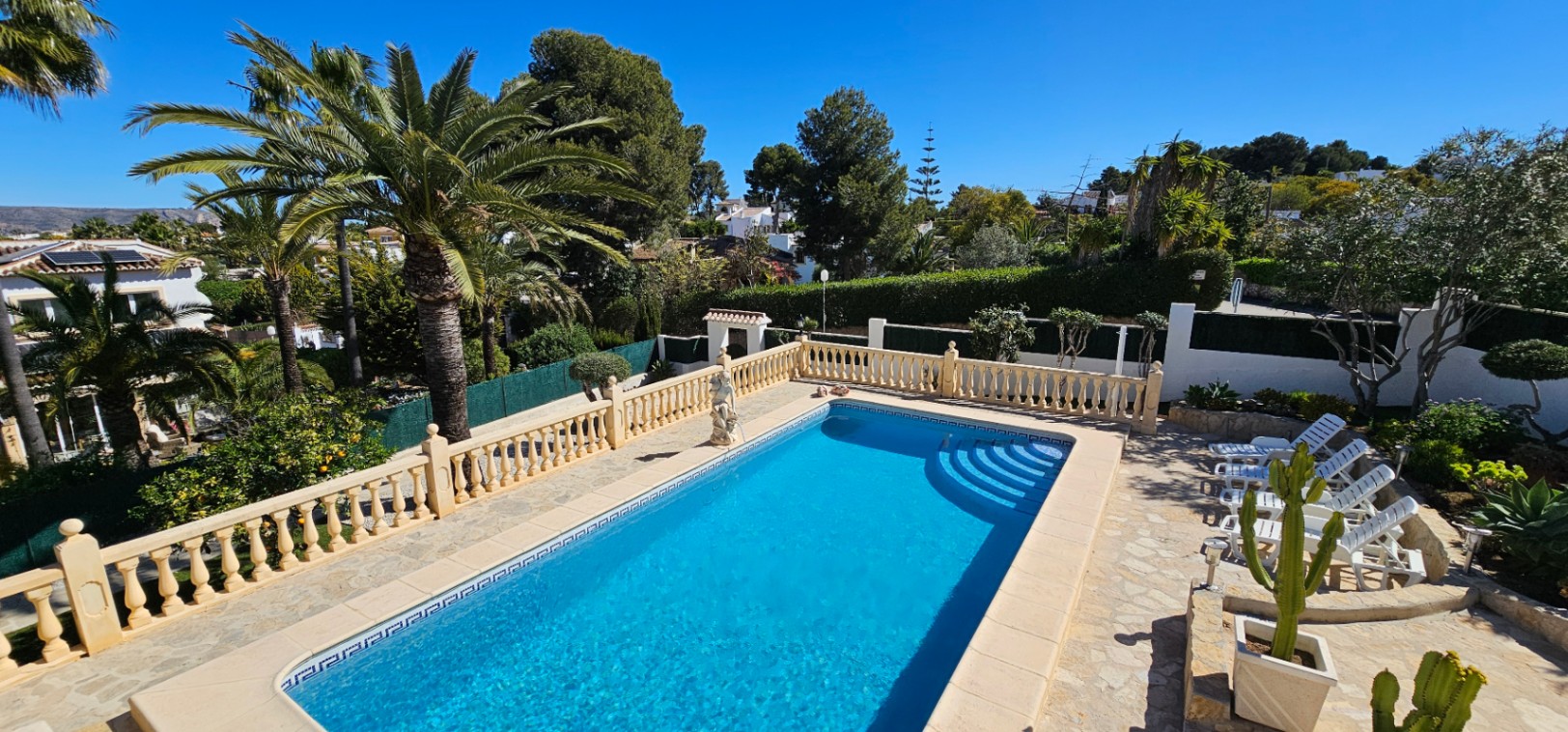 Piscine rectangulaire avec escalier romain, entourée d'une terrasse en pierre à balustrade classique et d'un jardin méditerranéen avec palmiers.