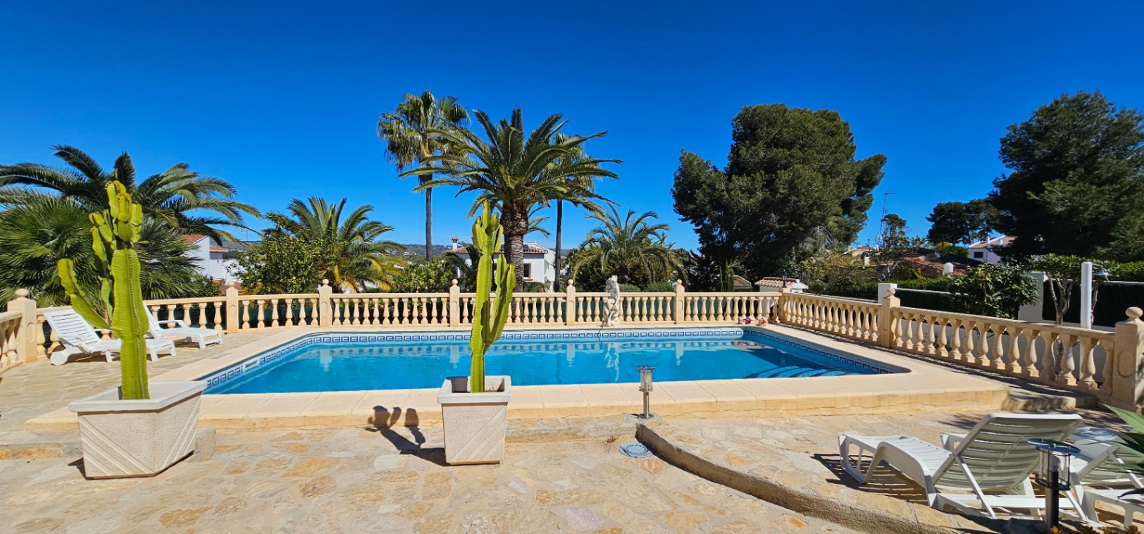 Piscine rectangulaire entourée d'une terrasse en pierre naturelle avec balustrade classique, palmiers matures et cactus décoratifs en pots.