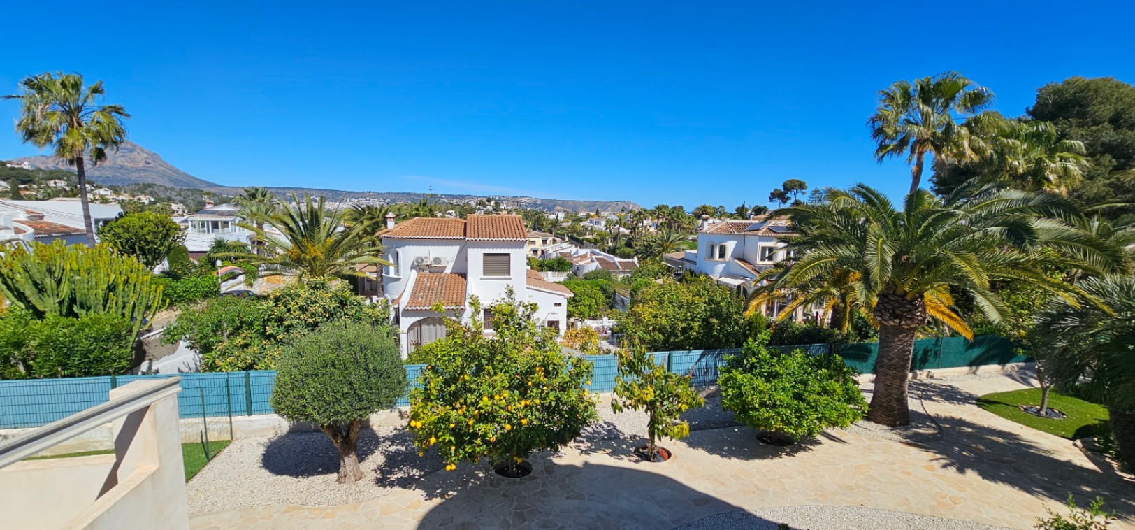 Vue surélevée depuis la terrasse sur le jardin avec citronniers et palmiers, offrant un panorama sur le Montgó et les villas environnantes.