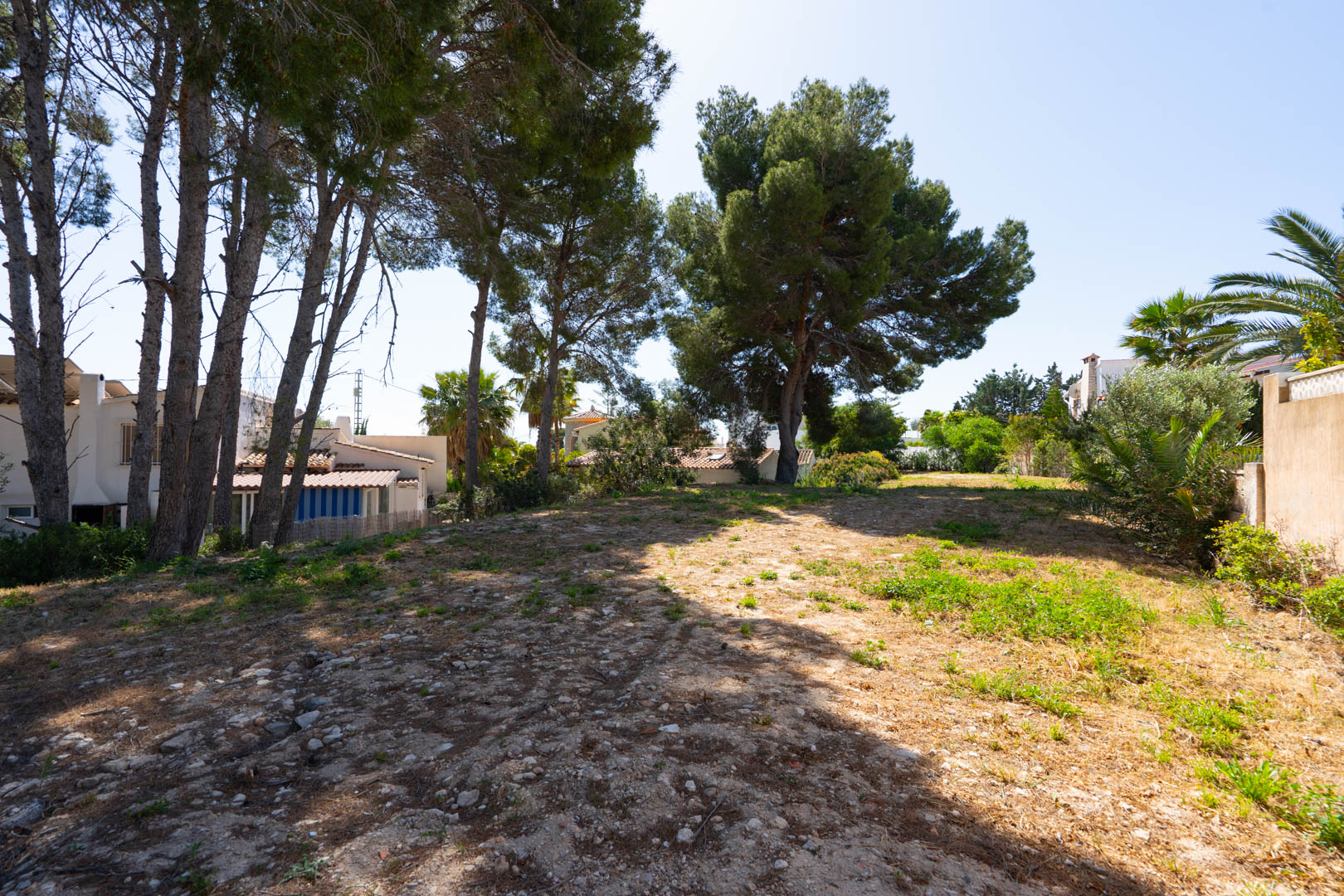 Terrain plat de 900 m2 avec des pins matures, offrant un espace polyvalent pour une maison d'amis ou des installations sportives dans un quartier calme.