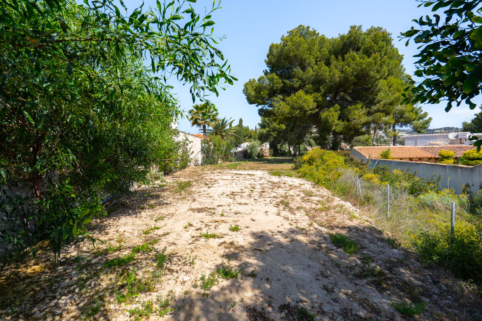 Terrain plat de 900 m2 situé à l'arrière de la villa, entouré de pins et de végétation, offrant un espace polyvalent pour des aménagements extérieurs.