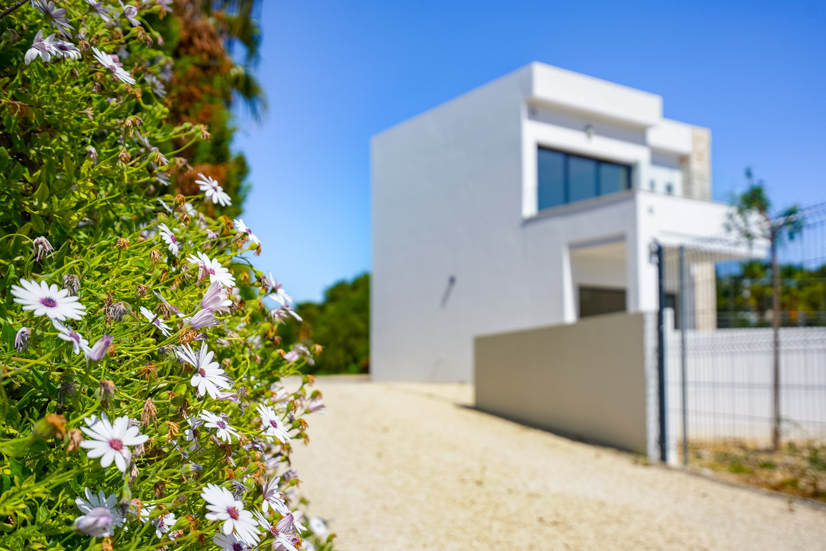 Vue extérieure depuis le jardin avec des fleurs au premier plan, montrant l'allée en gravier menant à la villa moderne blanche.