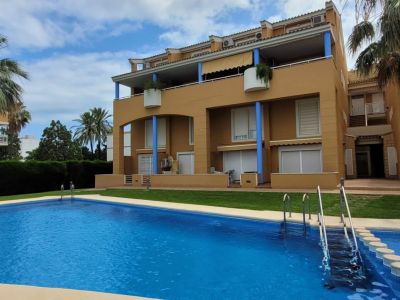 La piscine communautaire accueillante aux eaux bleues claires, entourée d'une pelouse bien entretenue et de palmiers, complète la façade ocre du bâtiment avec des piliers de balcon bleus.