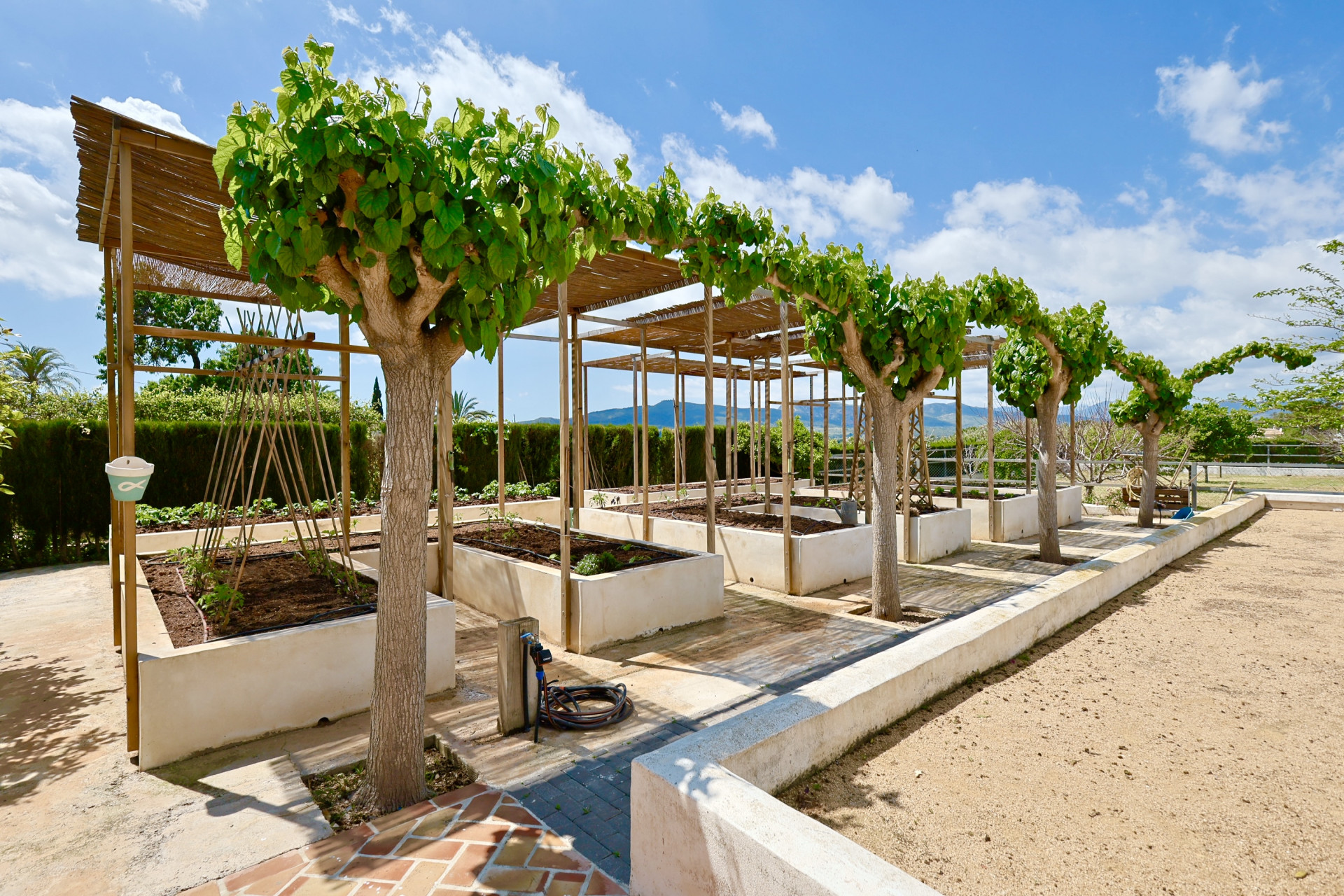 Potager surélevé avec pergola et arbres à Jávea. Conception fonctionnelle et esthétique.