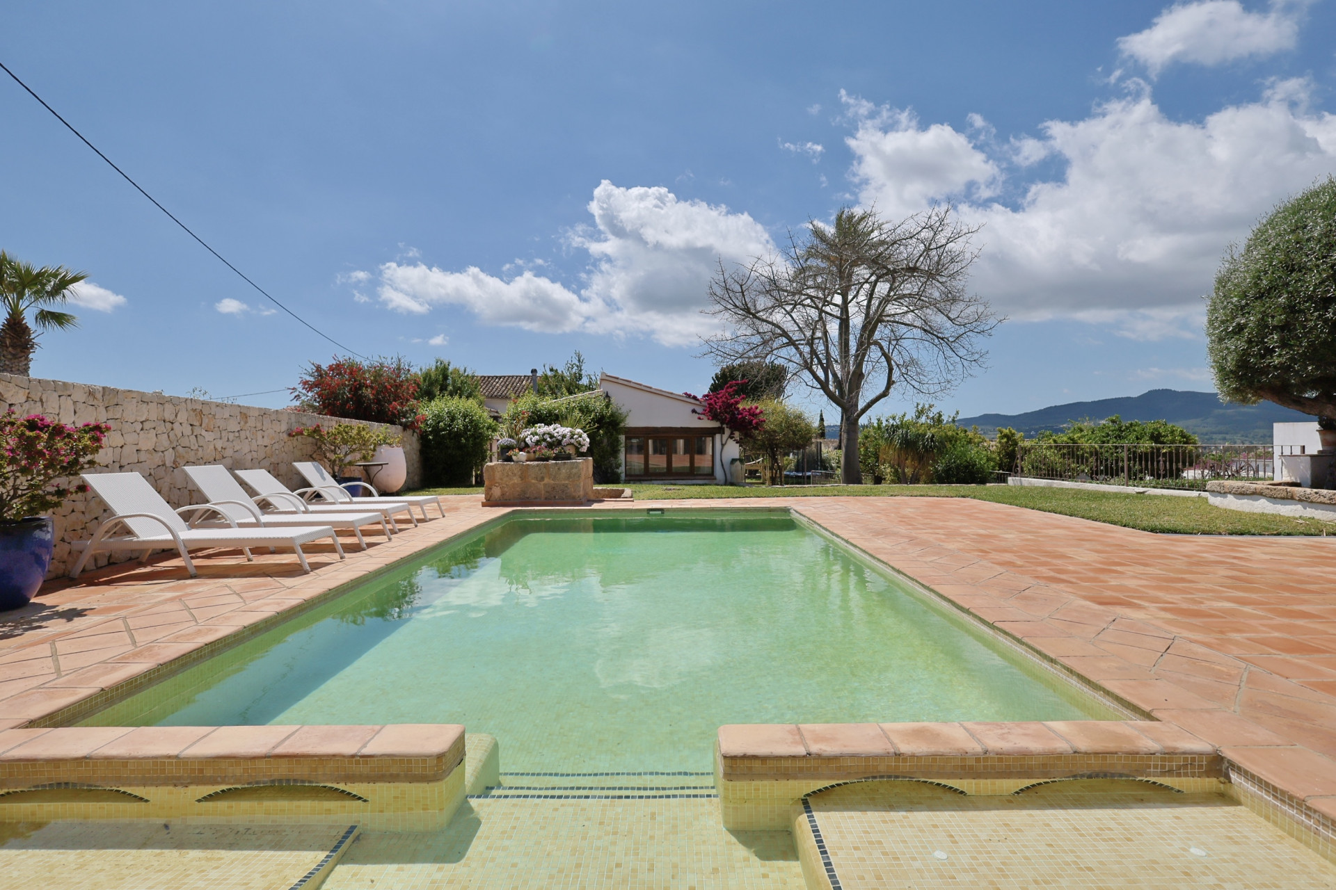 Vue sur la piscine rectangulaire à bordure en terre cuite, entourée d'un jardin et de chaises longues blanches.