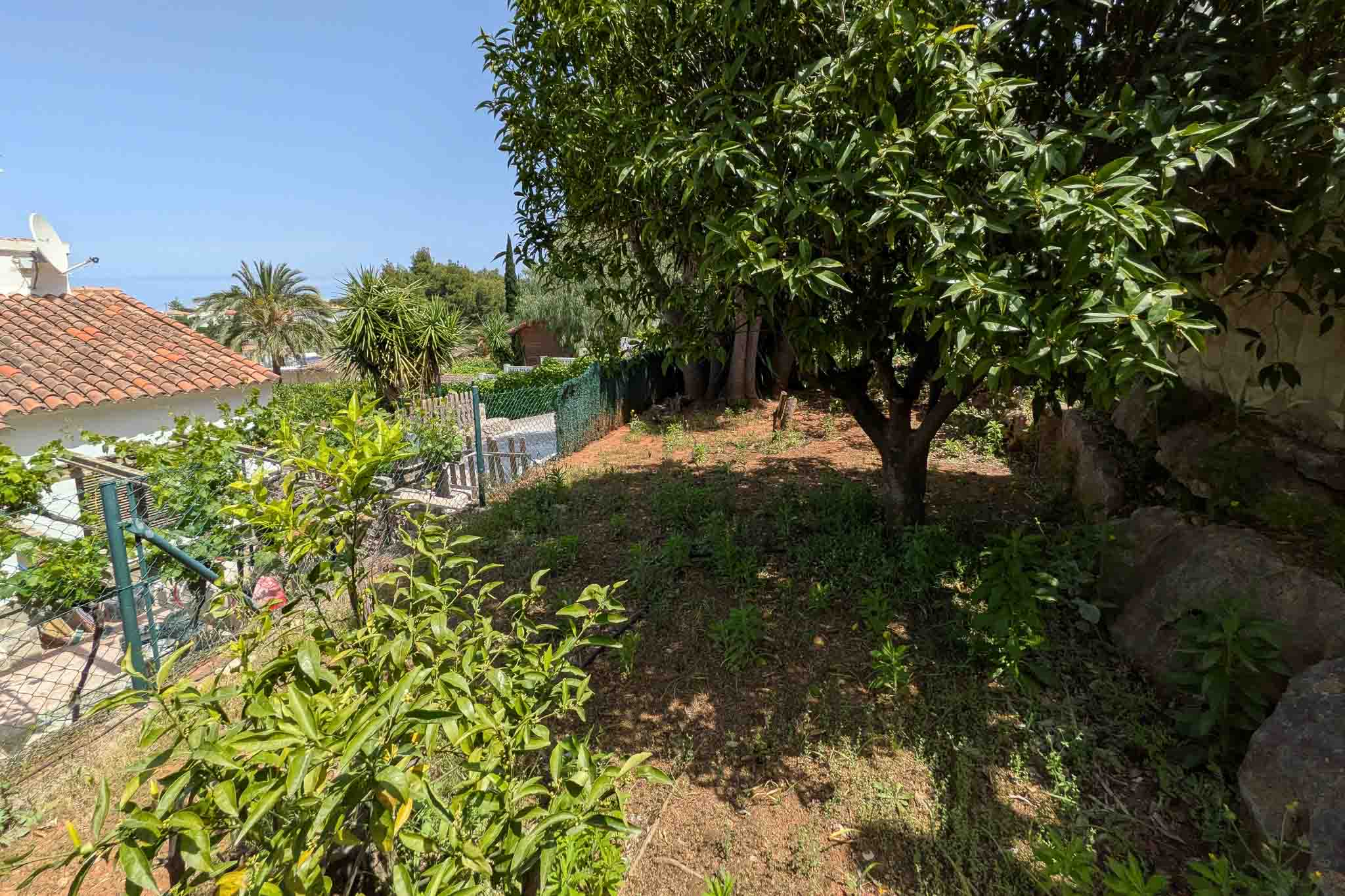 Jardin méditerranéen avec agrumes et végétation locale sur un terrain en terrasses, bordé de murs en pierre naturelle et d'une clôture.