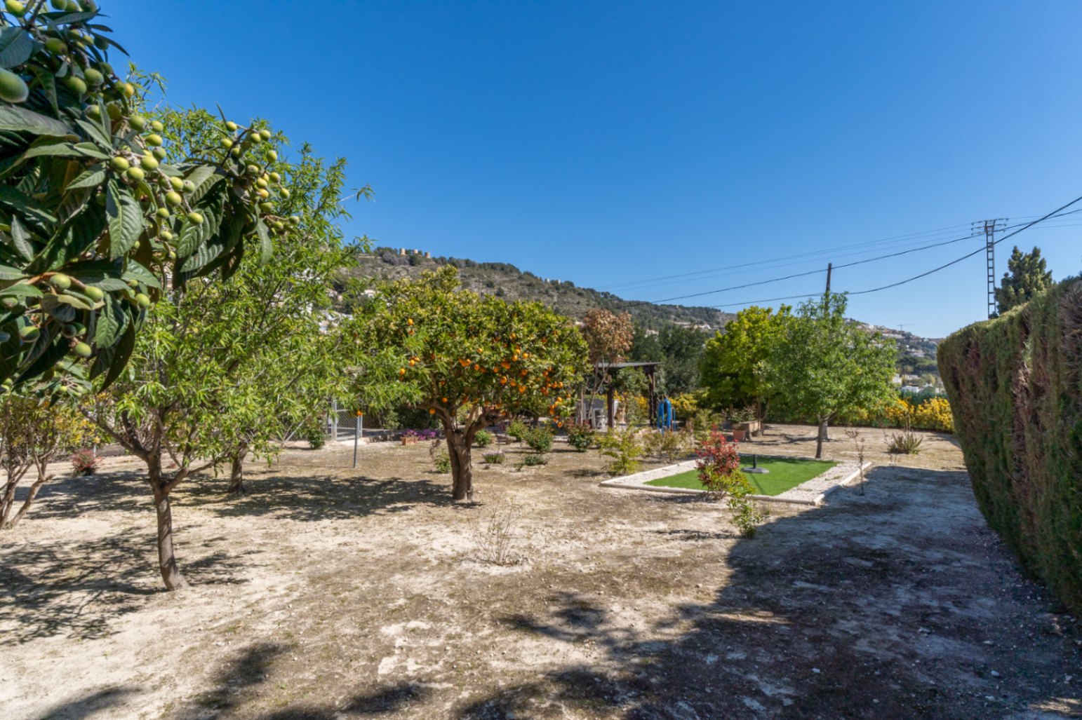 Jardin méditerranéen avec des arbres fruitiers, notamment des néfliers et des agrumes, sur un terrain plat offrant une vue sur les collines environnantes.