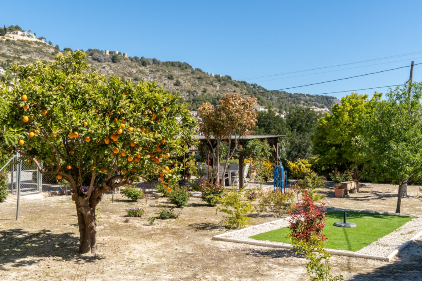 Jardin méditerranéen avec un oranger, coin repas extérieur sous pergola et vue sur les anciens moulins à vent sur la colline.