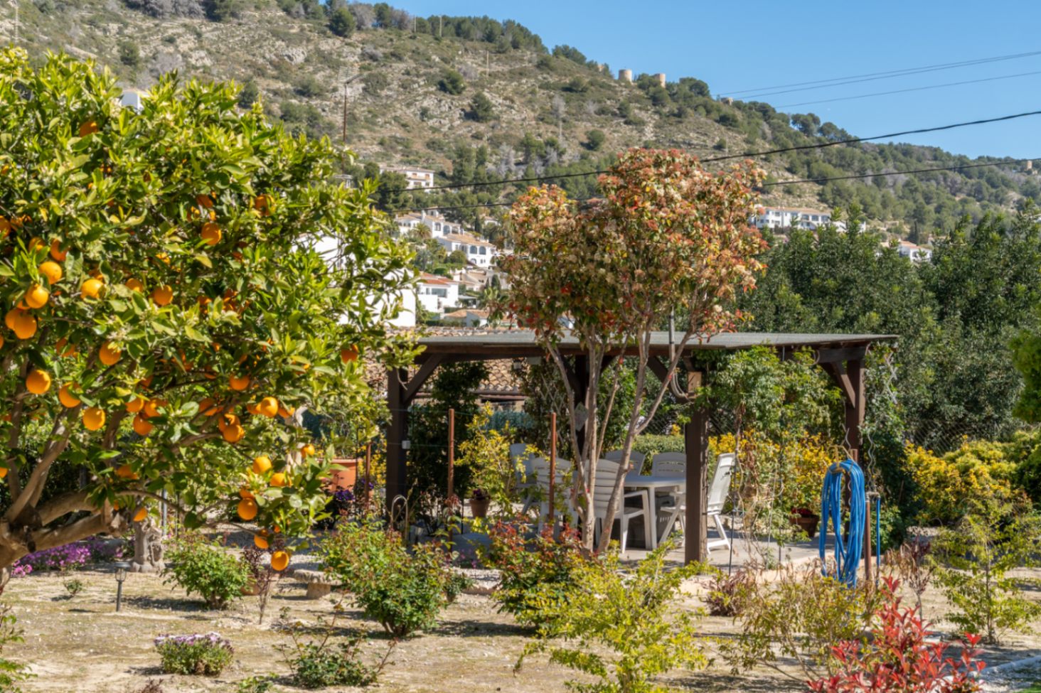 Jardin méditerranéen avec un oranger généreux et un coin repas ombragé sous une pergola en bois, face aux collines verdoyantes de Jávea.