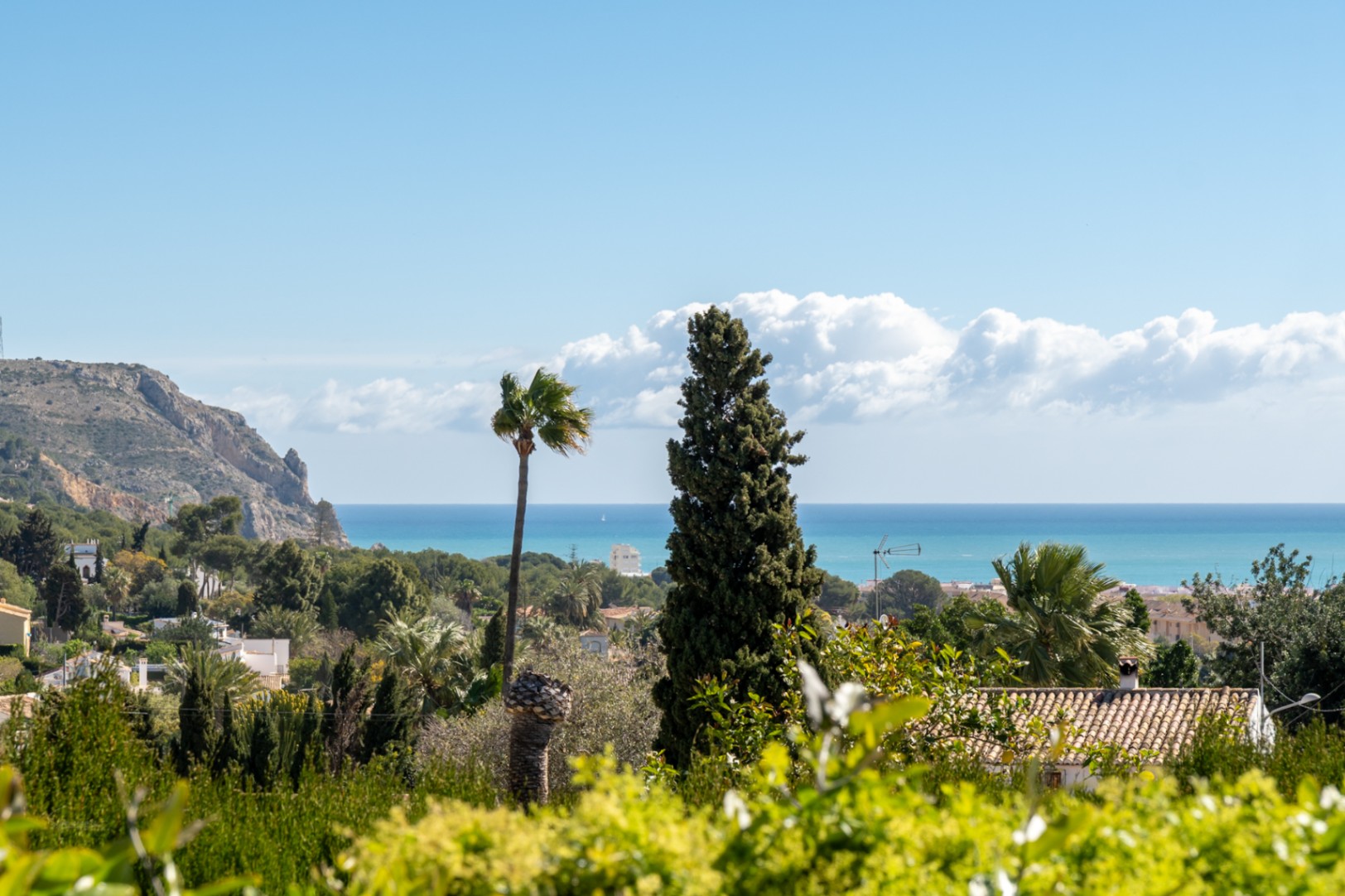 Vues panoramiques sur la mer Méditerranée et les falaises côtières, entourées de jardins luxuriants avec palmiers et cyprès.