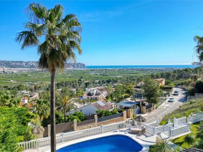 Vue panoramique depuis la piscine avec palmier vers Jávea et la mer Méditerranée.
