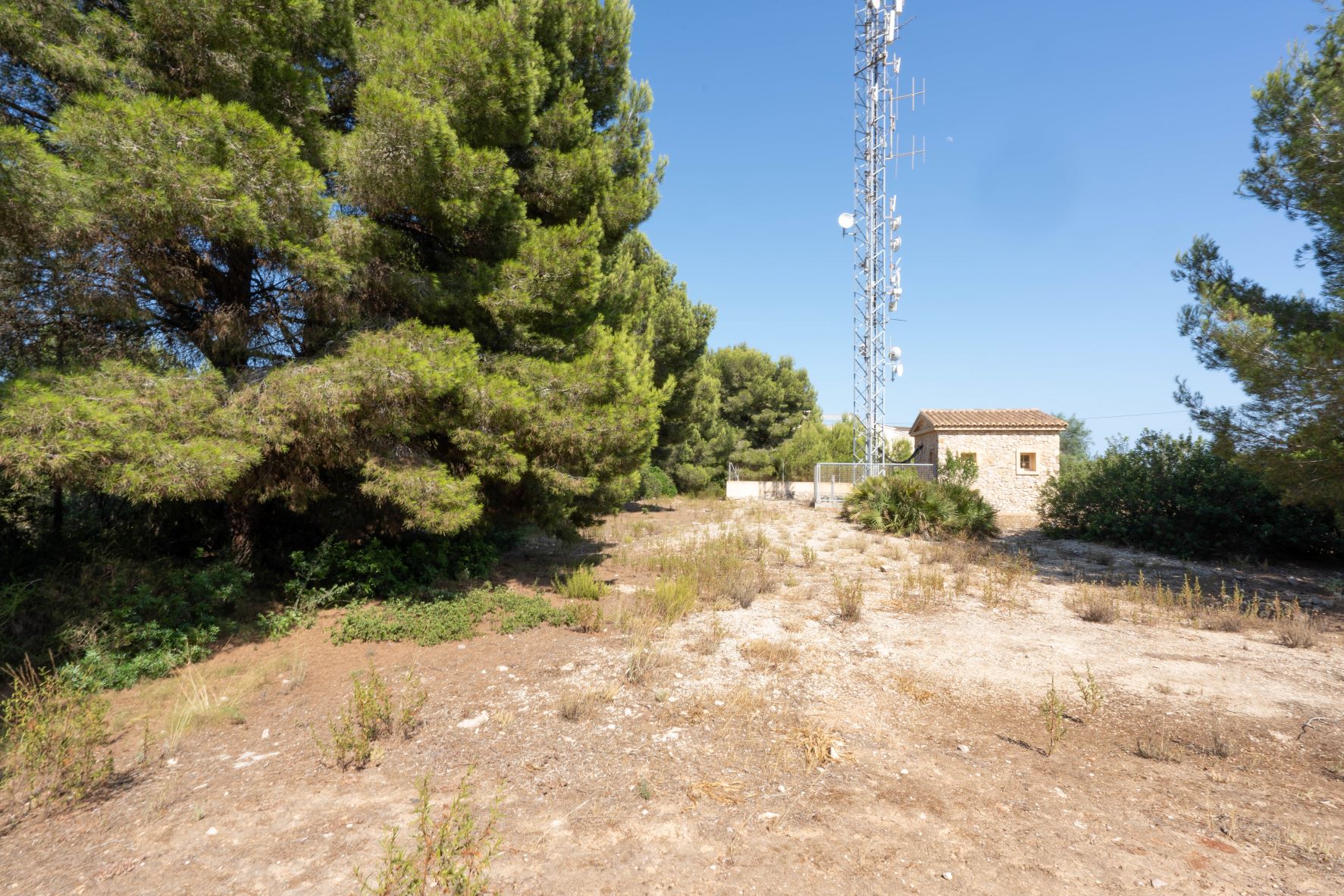 Vue de la parcelle avec végétation, tour d'antenne et bâtiment auxiliaire.