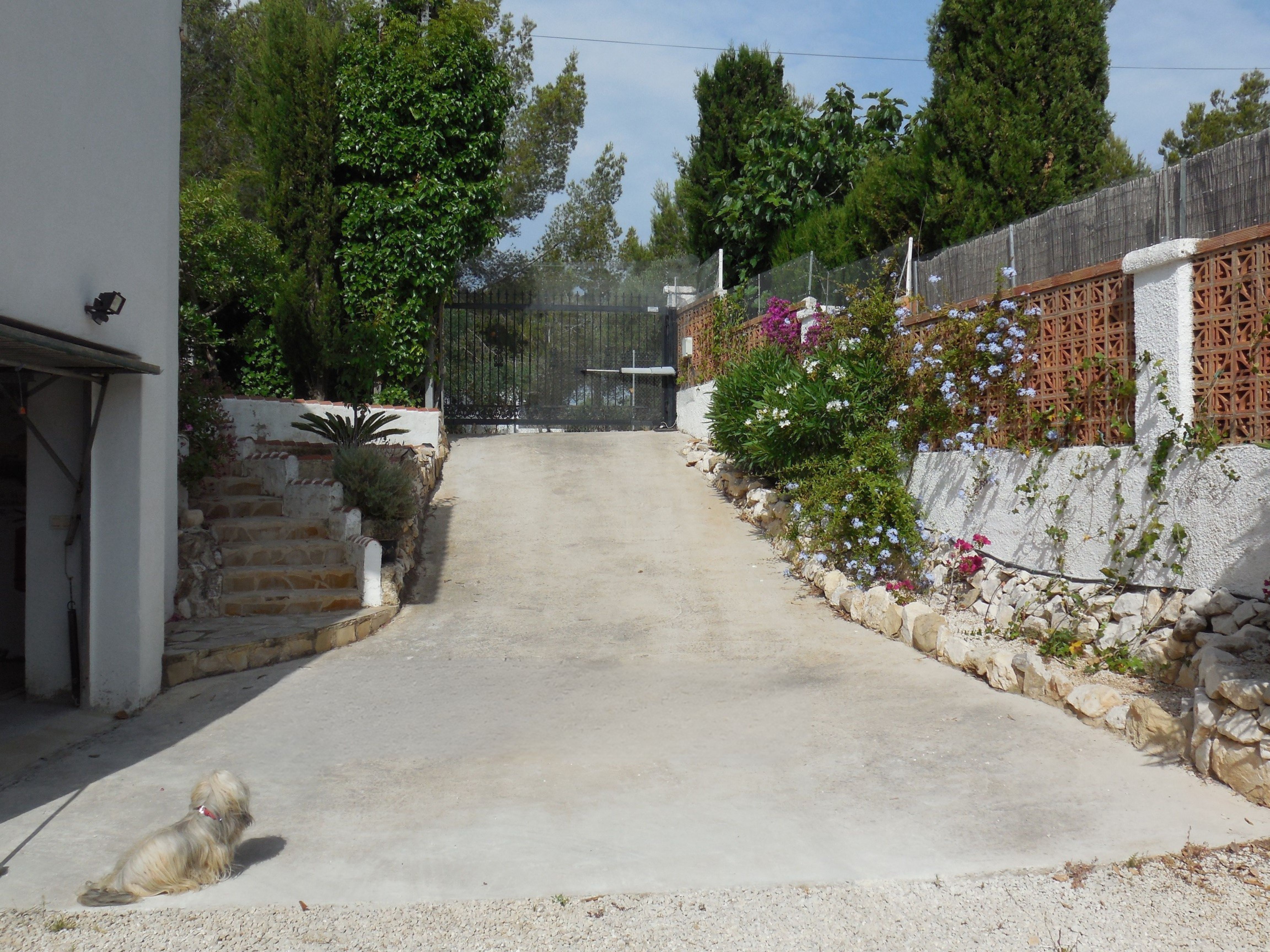 Entrée de la villa avec allée en béton, escaliers en pierre et végétation fleurie.