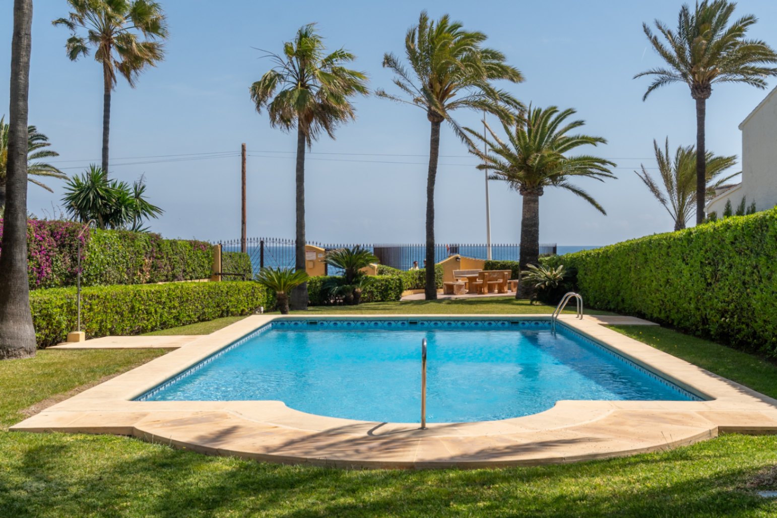 Piscine commune bordée de pierre claire, entourée de pelouse et de haies vertes, avec palmiers et vue sur la mer.