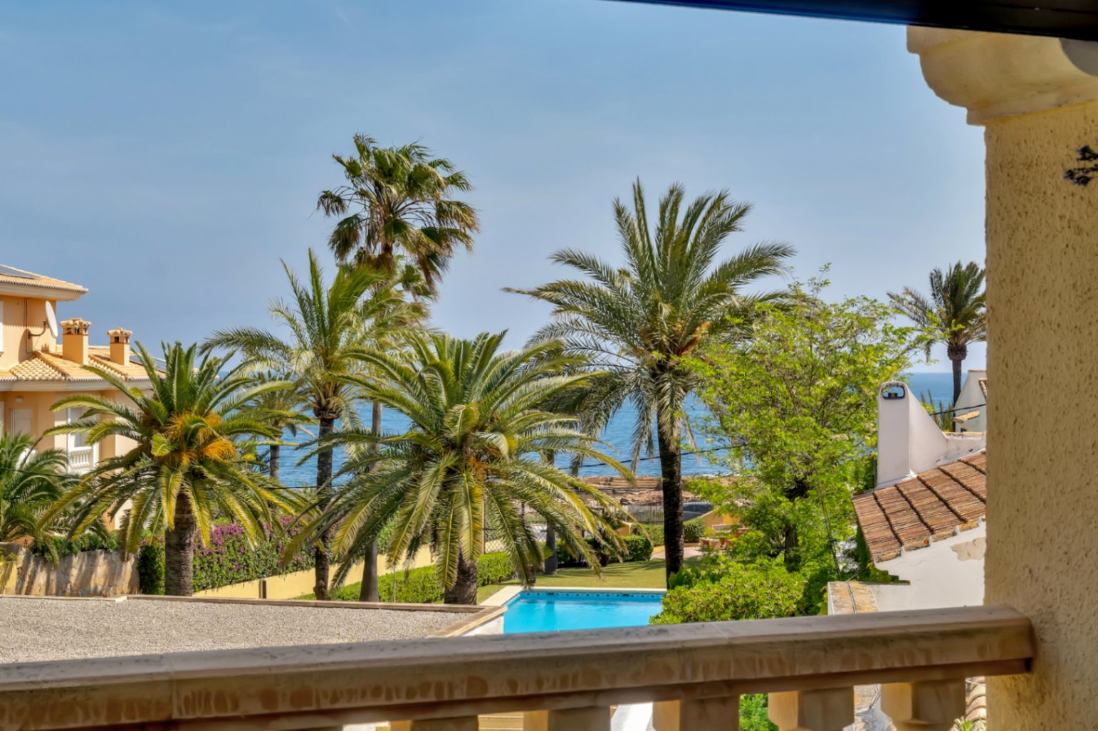 Vue depuis la terrasse sur la piscine commune et les palmiers, avec la Méditerranée en arrière-plan.