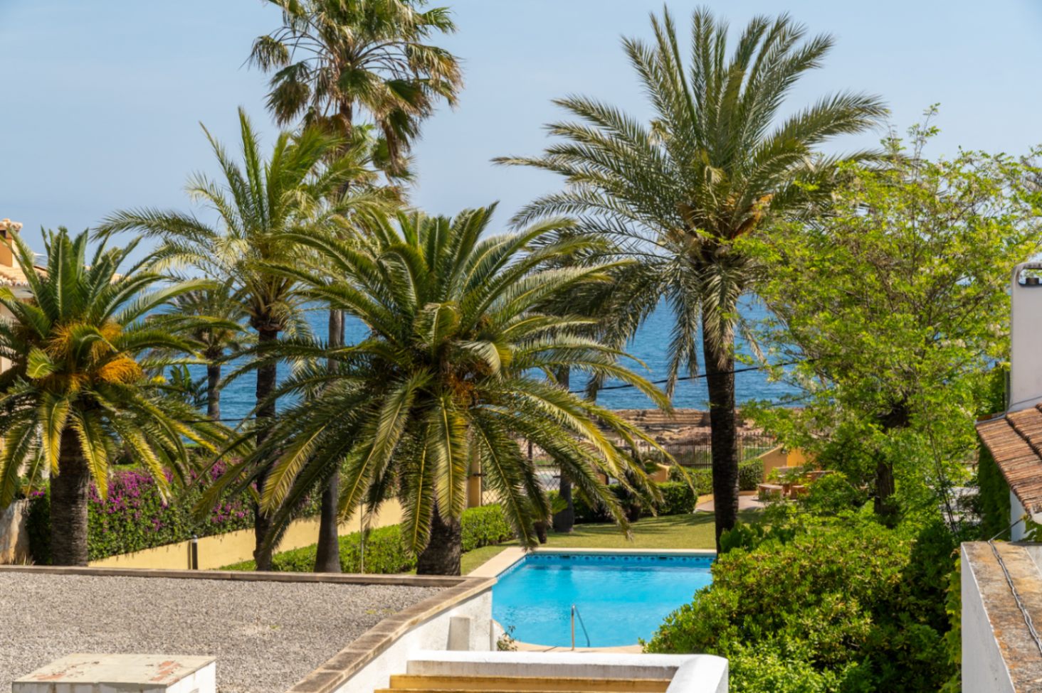 Vue sur la piscine commune et la Méditerranée, encadrée de palmiers et d'une végétation luxuriante.