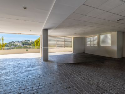 Zone couverte spacieuse avec sol en pavés foncés et plafond mixte. Une ouverture offre une vue dégagée sur des collines verdoyantes et des bâtiments lointains, avec lumière naturelle.