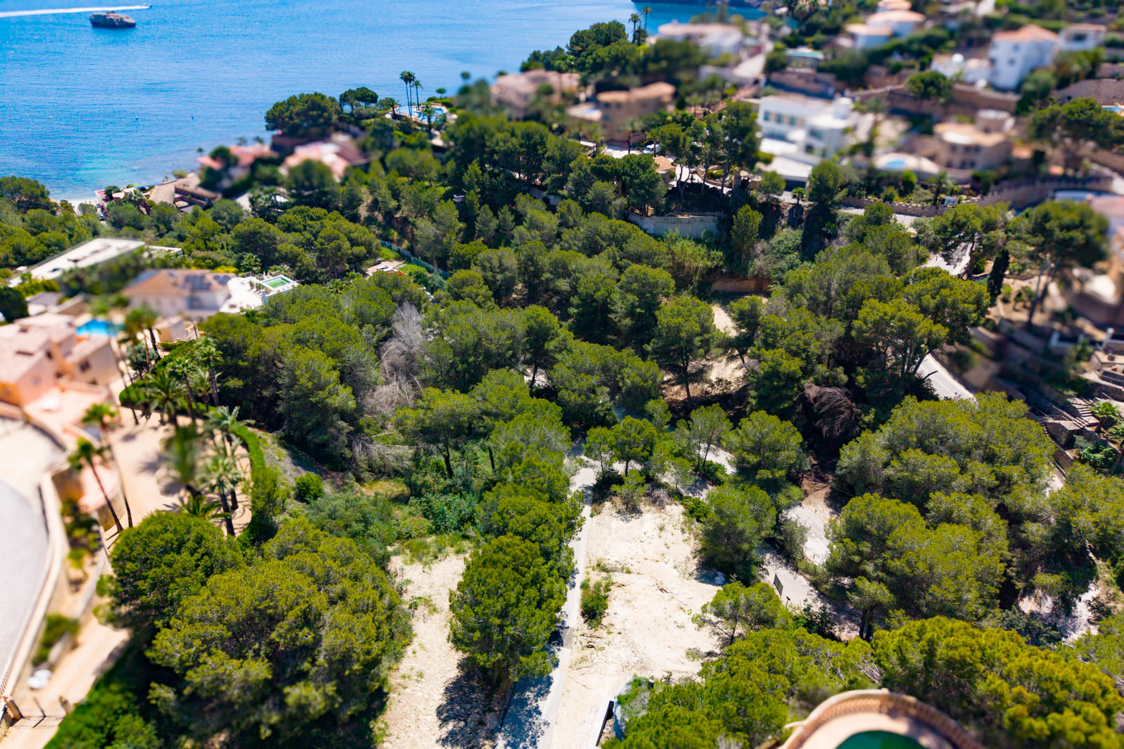Vue aérienne d'une parcelle boisée à Jávea avec accès direct à la côte, idéale pour un développement commercial.