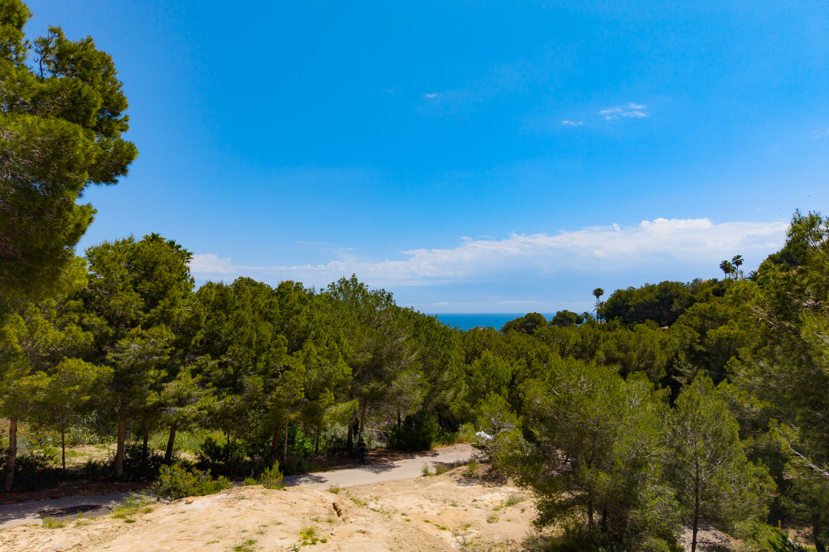 Vue de la parcelle avec une végétation luxuriante et une vue lointaine sur la mer Méditerranée sous un ciel bleu clair.