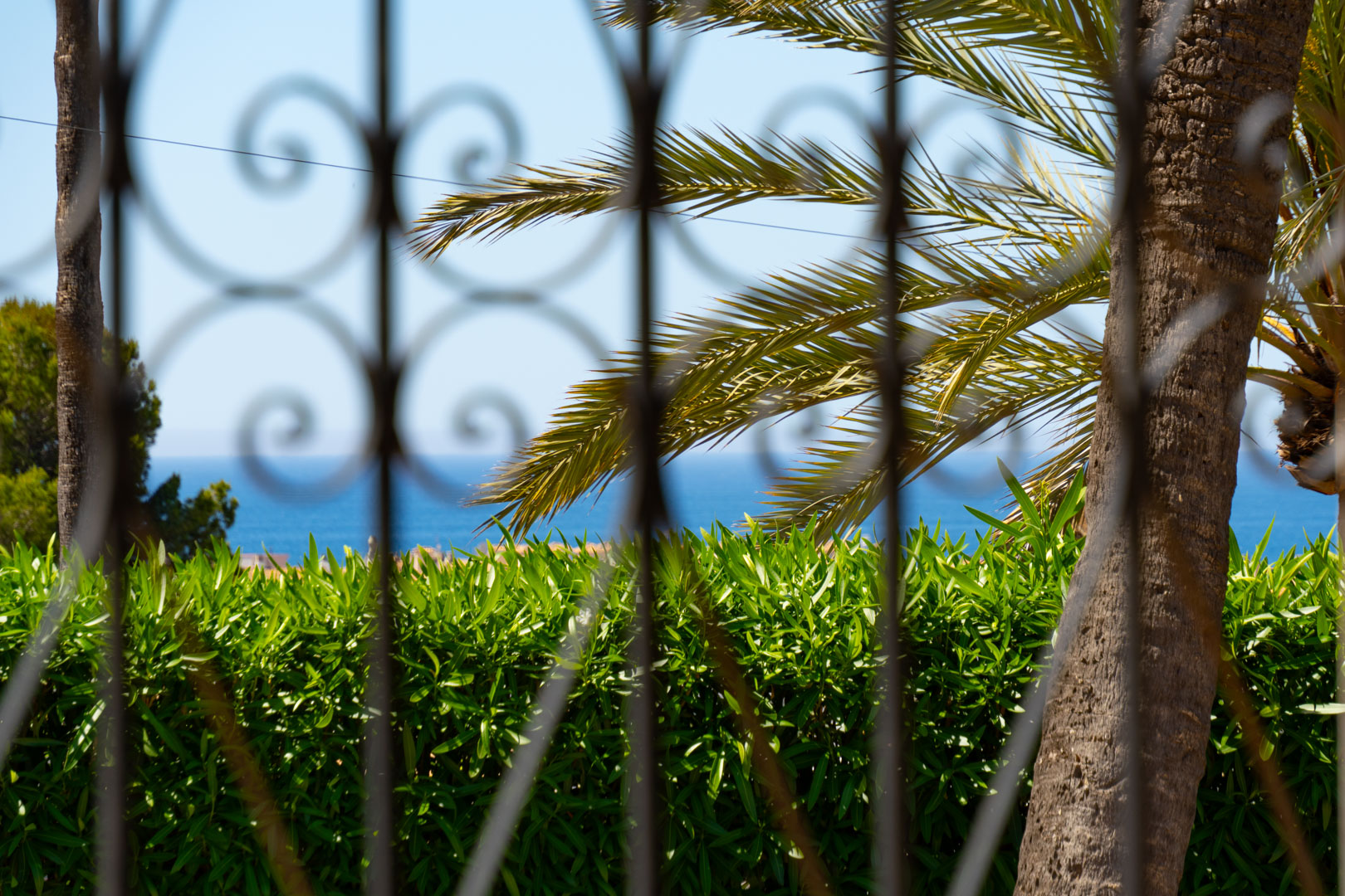 Vue sur mer à travers le fer forgé, encadrée par un palmier et une haie verte.