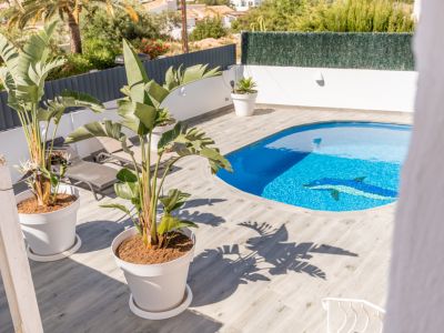 Piscine privée de forme irrégulière avec mosaïque de dauphin, entourée d'une terrasse carrelée effet bois et de grandes plantes tropicales en pot.