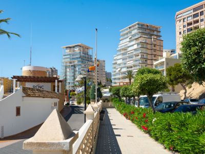 Vue de la rue menant au Real Club Náutico Calpe, bordée d'immeubles modernes et d'un trottoir fleuri avec lauriers-roses et voitures garées sous un ciel bleu clair.
