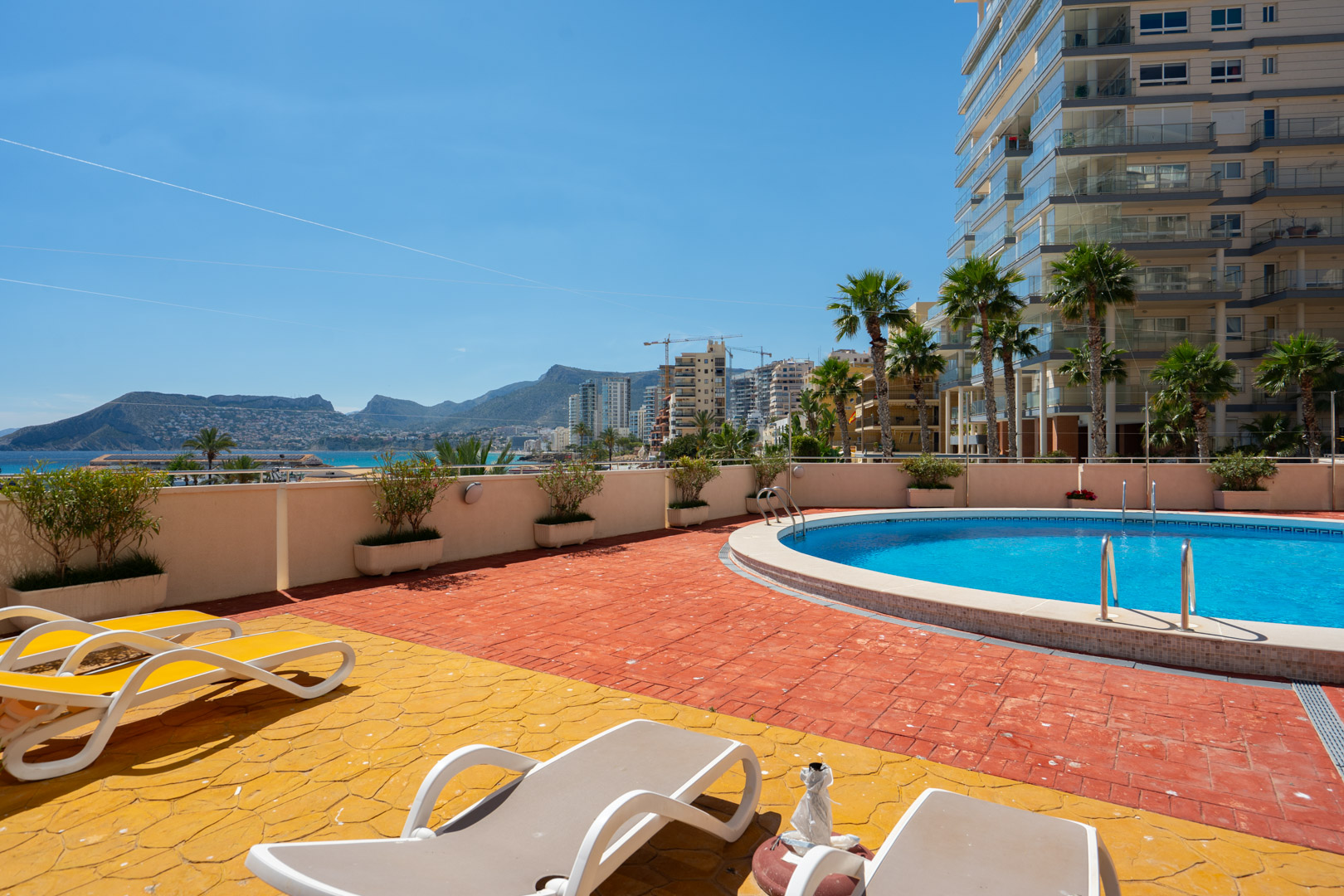 Espace piscine commun avec transats, entouré de palmiers et d'un immeuble moderne. Dispose d'une terrasse pavée bicolore et de vues lointaines sur la mer et les montagnes.