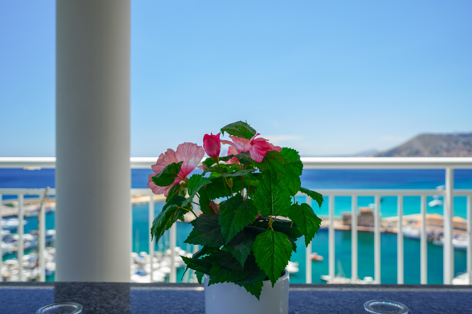 Vue de la terrasse avec une plante à fleurs roses, un pilier et une balustrade blanche, encadrant le port de plaisance et la mer turquoise.