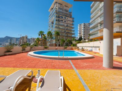 Piscine commune accueillante entourée d'une zone pavée texturée bicolore distinctive avec transats, devant des immeubles modernes et palmiers sous un ciel bleu.