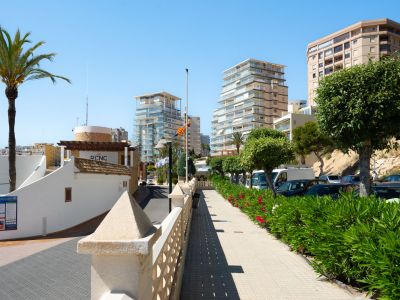Promenade pavée bordée d'arbustes d'oléandres fleuris et d'arbres taillés, menant vers des immeubles modernes et le Real Club Náutico de Calpe.