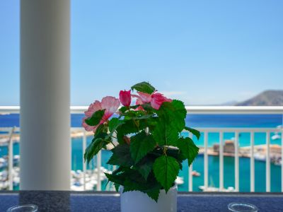 Vue de la terrasse avec une plante à fleurs roses, un pilier et une balustrade blanche, encadrant le port de plaisance et la mer turquoise.