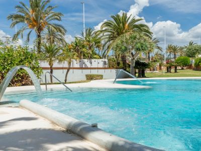 Vaste piscine communautaire avec jets d'eau et zones bouillonnantes, entourée de palmiers luxuriants et de verdure sous un ciel bleu éclatant.