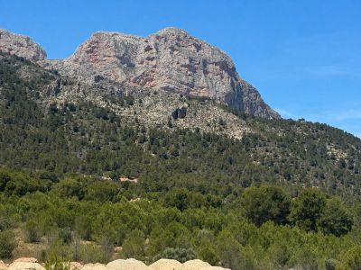 Vue étendue d'une montagne rocheuse proéminente, densément couverte de végétation méditerranéenne et de pins, sous un ciel bleu clair.