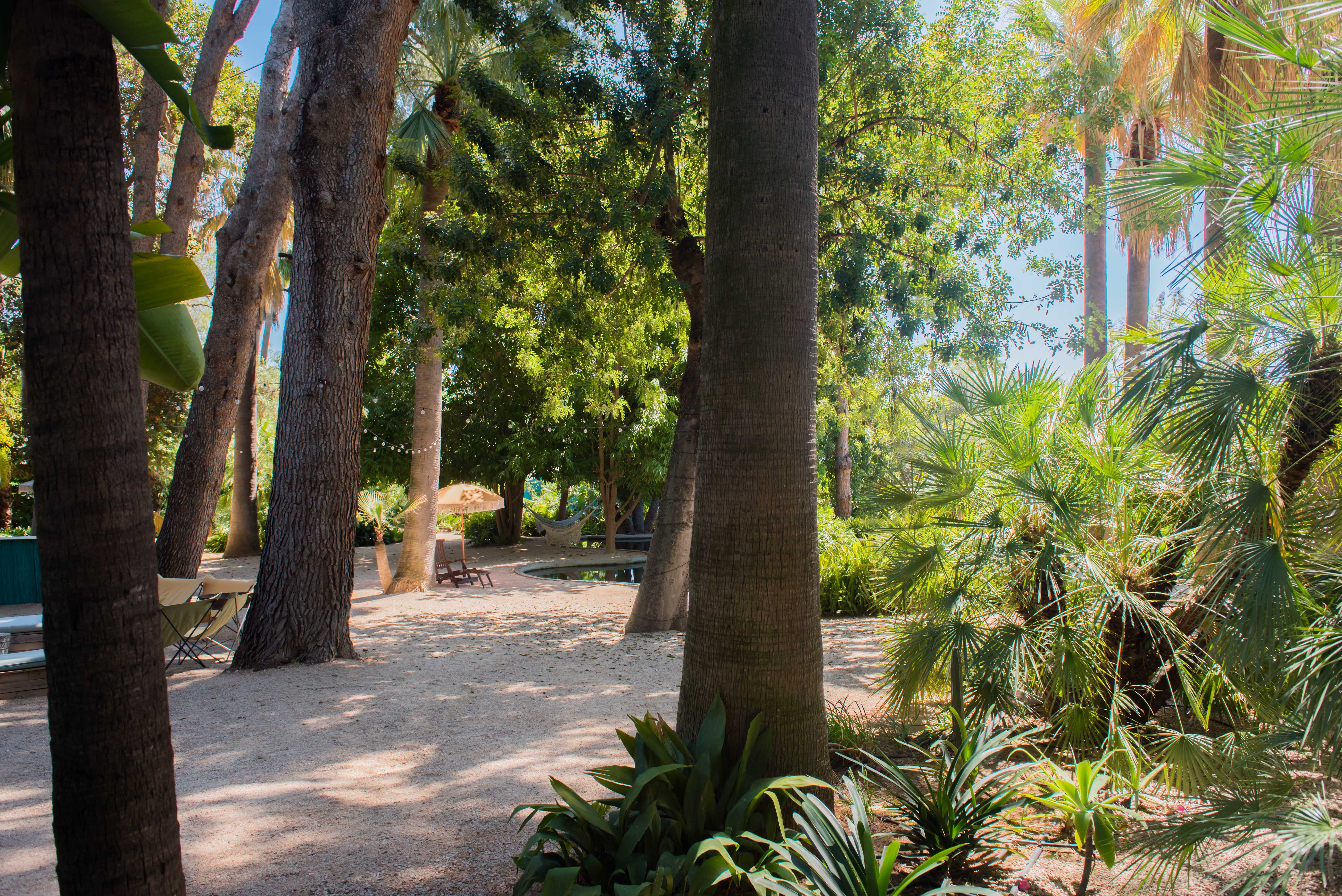 Allée de jardin tropical ombragée avec étang, hamac et chaise longue avec parasol. Guirlandes lumineuses parmi les arbres luxuriants et palmiers variés.