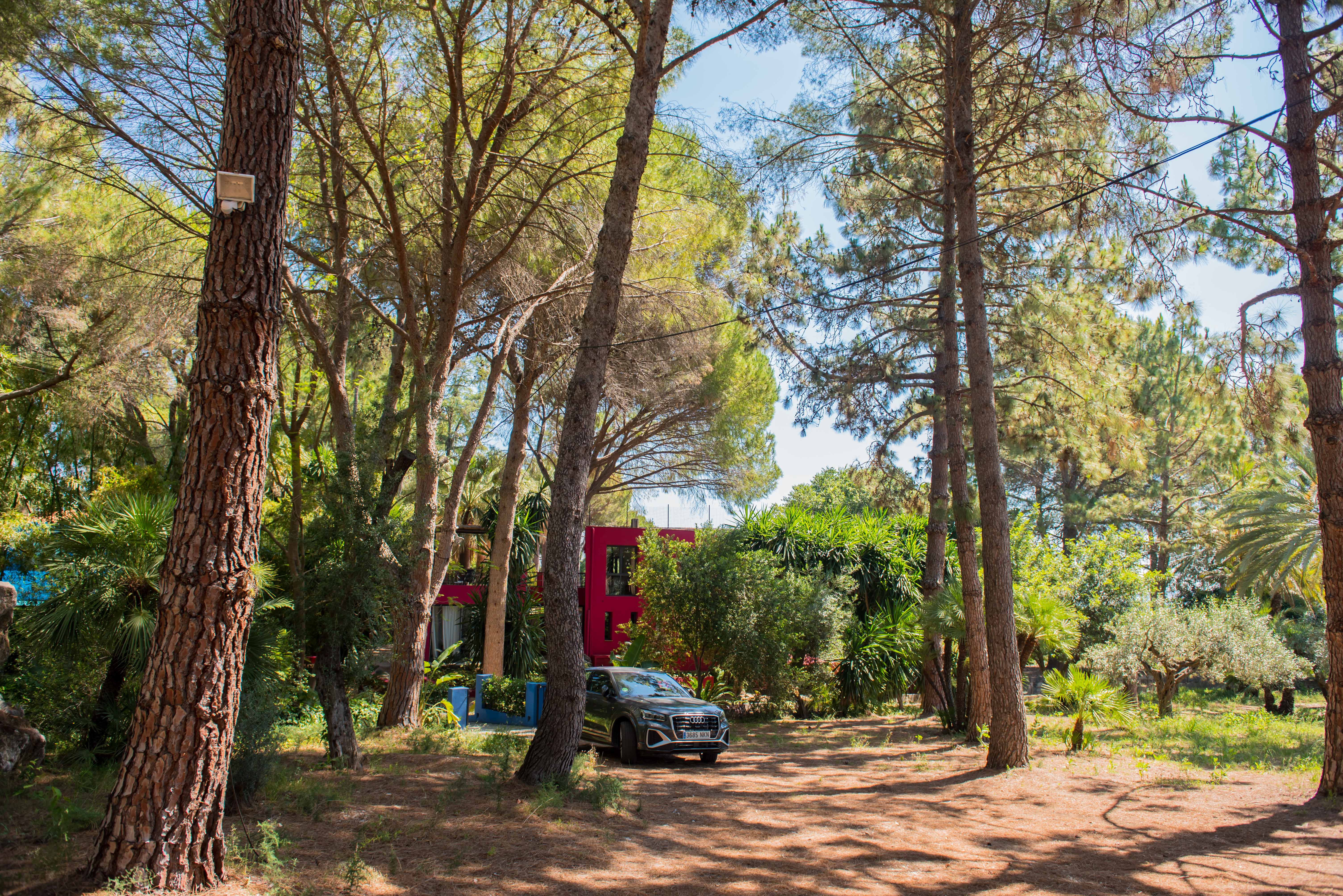 Bâtiment rouge moderne niché dans un jardin luxuriant d'inspiration tropicale, ombragé par de grands pins. Un SUV gris foncé est garé sur le sol naturel recouvert d'aiguilles de pin.