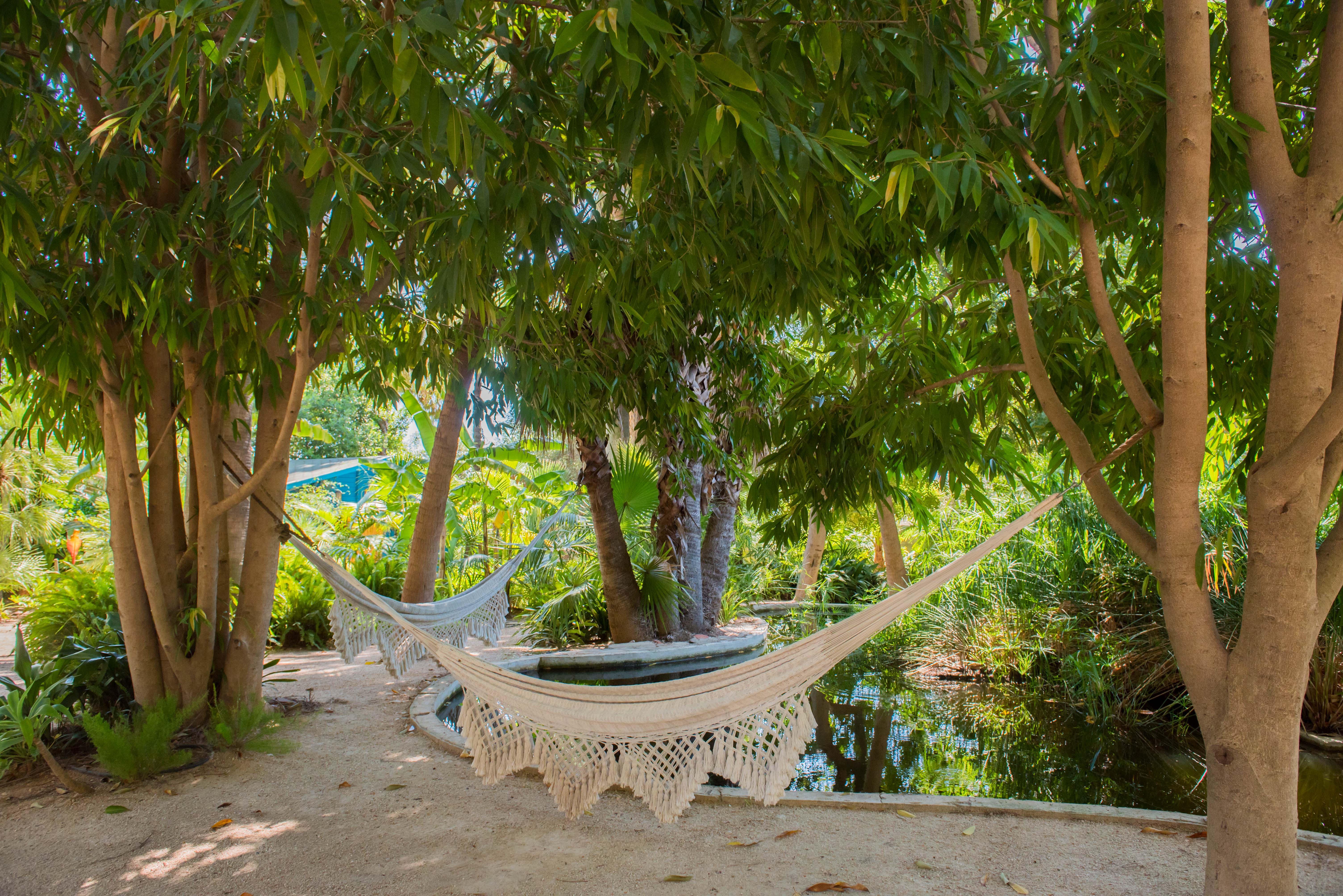 Deux hamacs blancs tissés offrent un lieu de repos serein au-dessus d'un étang tranquille, niché dans un jardin tropical luxuriant avec un sentier sablonneux.