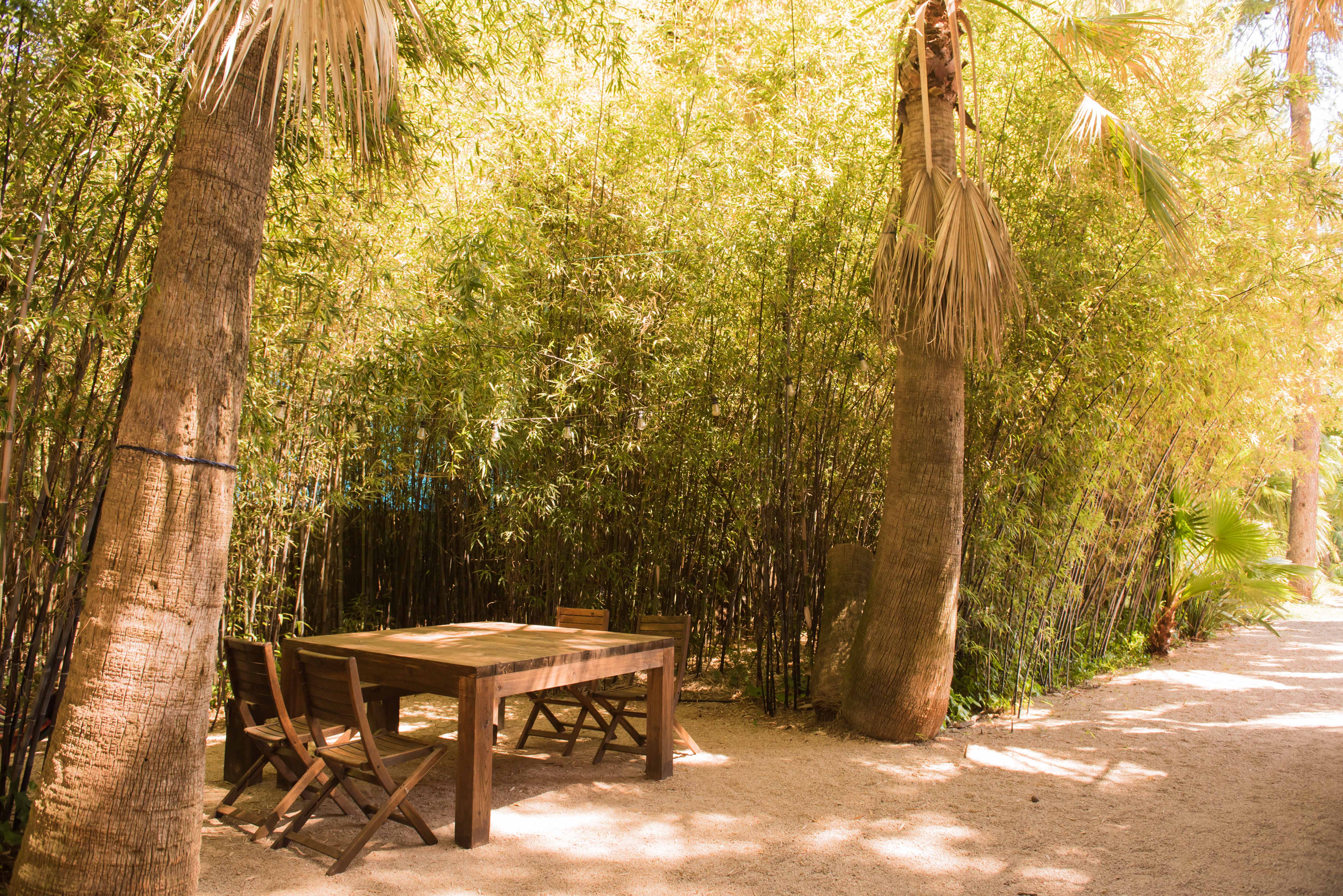 Espace repas extérieur isolé avec une solide table en bois et des chaises pliantes, aménagé sur un chemin de gravier entre palmiers et un écran de bambou dense avec guirlandes lumineuses.