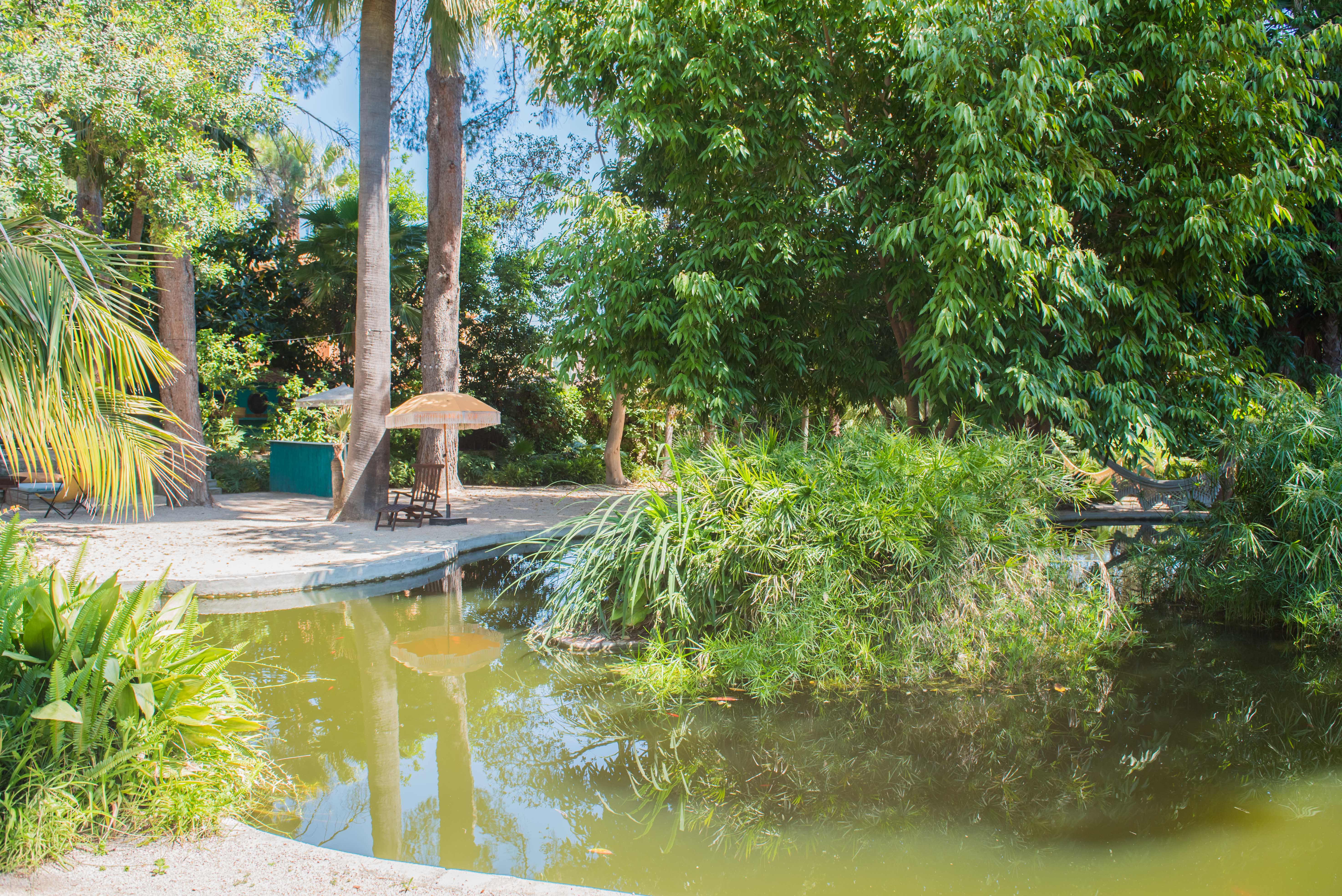 Étang paisible dans un jardin tropical luxuriant, reflétant de grands arbres et le ciel bleu. Une berge sablonneuse propose une chaise longue en bois et un parasol à franges pour la détente.