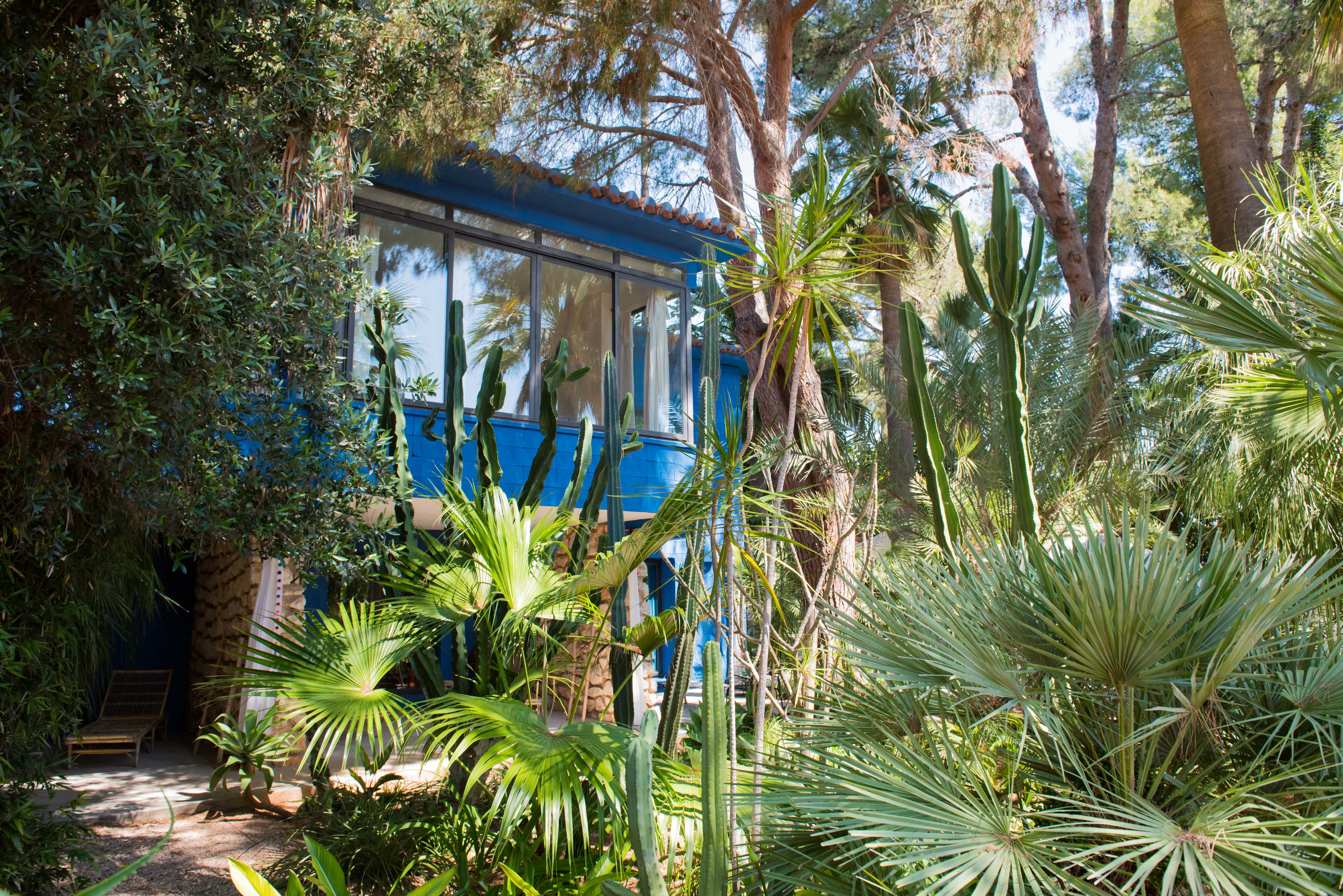 Jardin tropical luxuriant avec palmiers variés et grands cactus, encadrant un bâtiment bleu moderne aux larges fenêtres et tuiles en terre cuite. Une chaise longue en bambou invite à la détente.