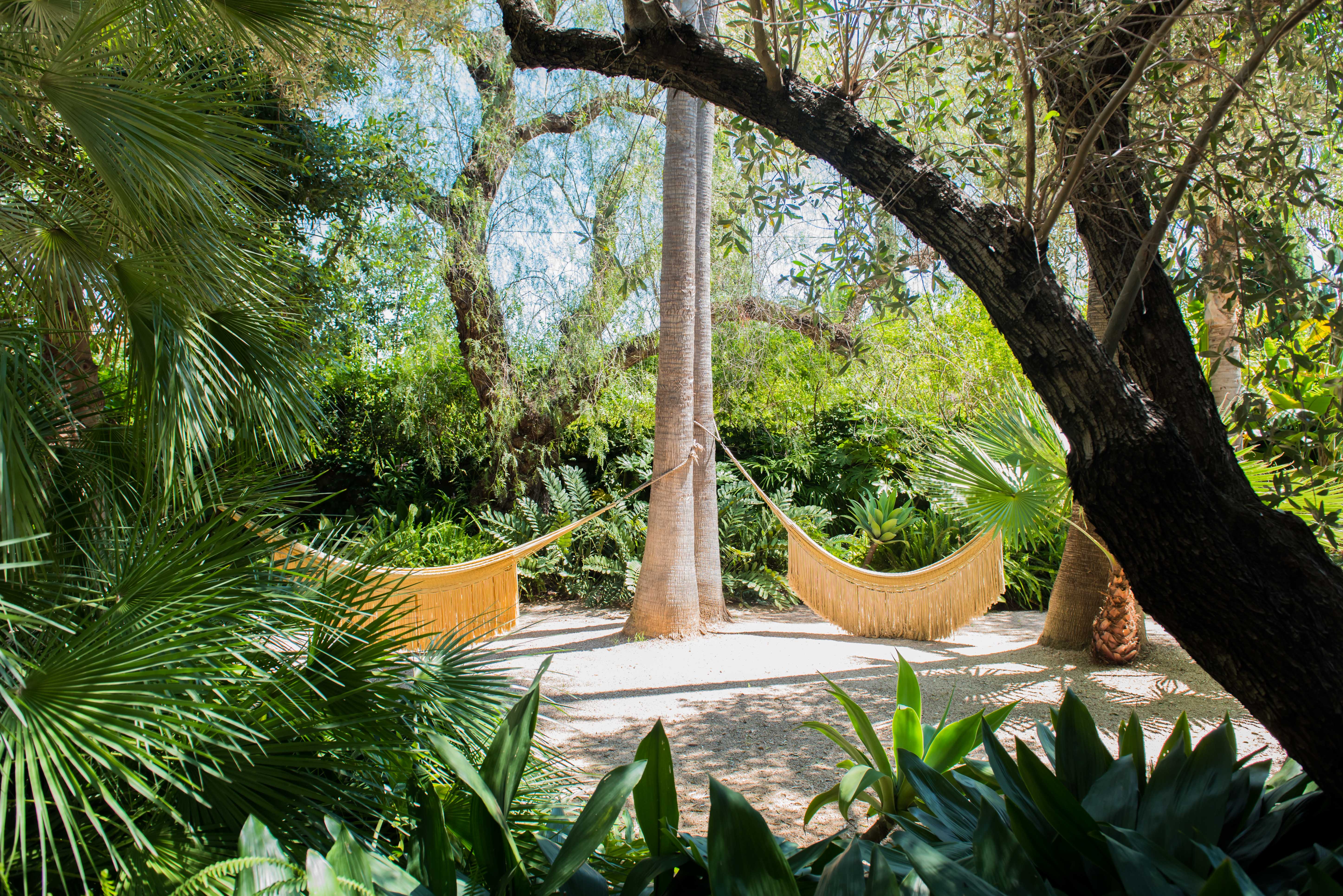Jardin tropical luxuriant avec un hamac tressé clair, suspendu entre un palmier et un arbre à large tronc. Un sentier de gravier serpente à travers le feuillage vibrant, baigné de lumière naturelle.