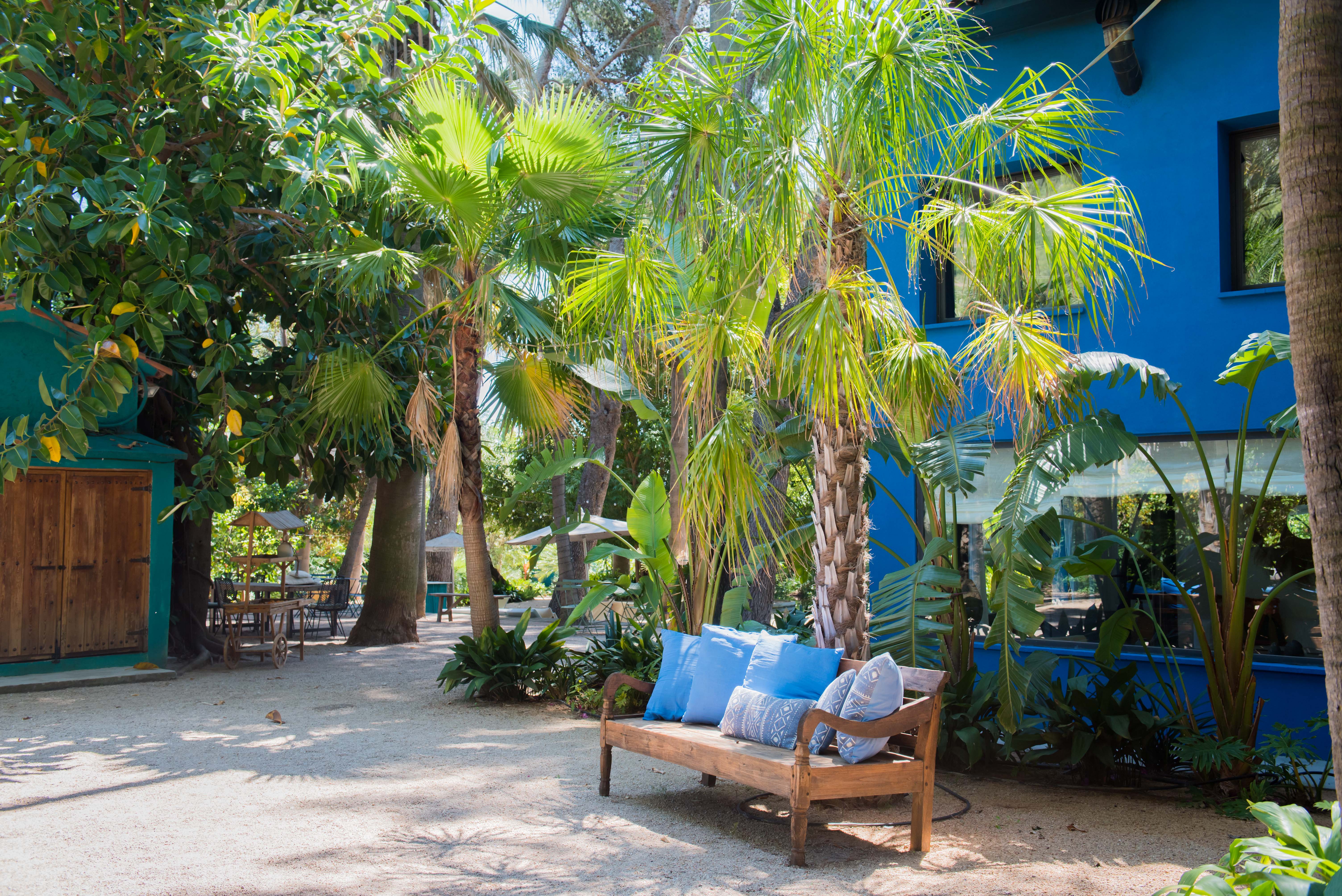 Un banc en bois rustique avec coussins bleus et à motifs offre un coin repos serein sur un chemin de gravier ensoleillé, encadré par des palmiers tropicaux et une façade bleue vive.