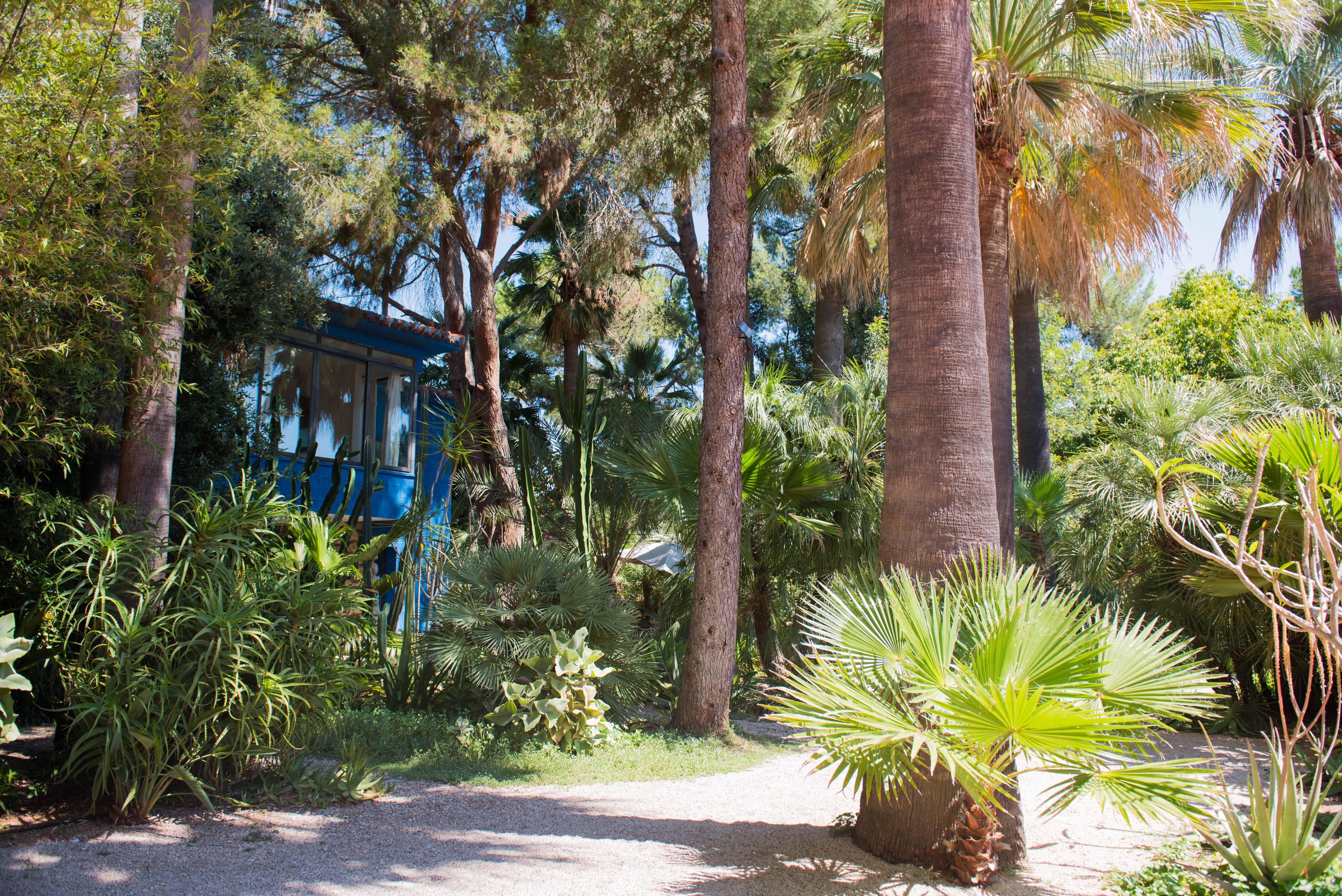Un chemin de gravier sinueux traverse un jardin tropical dense, bordé de divers palmiers et d'un feuillage luxuriant. Une maison bleue vive avec de grandes fenêtres est partiellement visible, baignée de lumière.