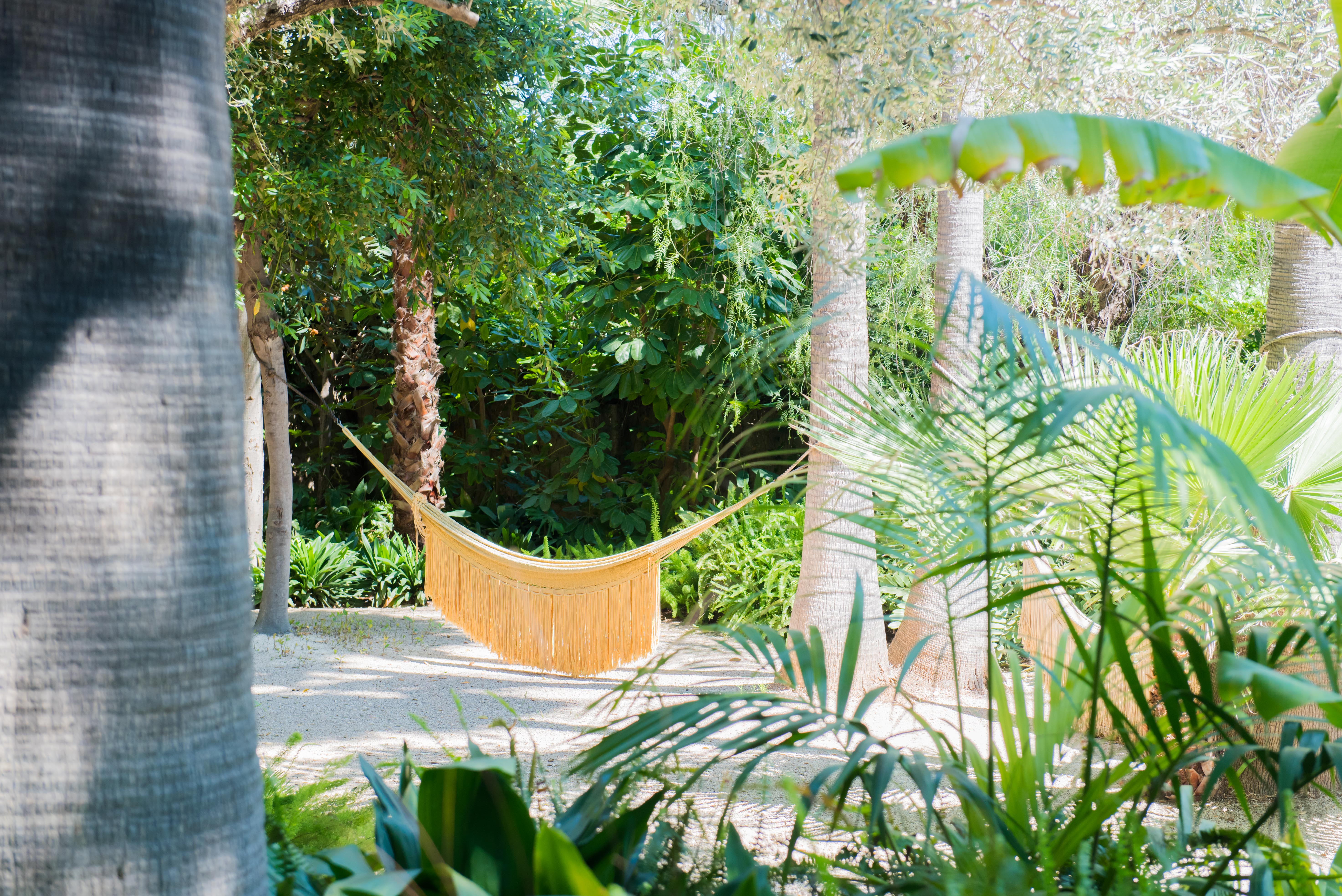 Un hamac jaune à franges offre un lieu de détente serein, niché entre deux palmiers dans un jardin tropical ensoleillé avec chemin de gravier clair.