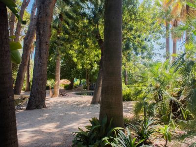 Allée de jardin tropical ombragée avec étang, hamac et chaise longue avec parasol. Guirlandes lumineuses parmi les arbres luxuriants et palmiers variés.