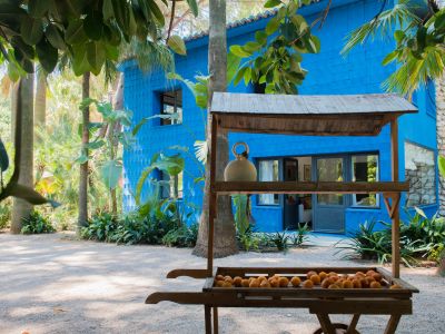 Bâtiment bleu éclatant avec façade texturée, niché au milieu d'une végétation tropicale luxuriante. Un stand de fruits en bois traditionnel, rempli d'oranges, est sur le chemin de gravier.