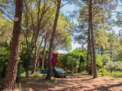 Bâtiment rouge moderne niché dans un jardin luxuriant d'inspiration tropicale, ombragé par de grands pins. Un SUV gris foncé est garé sur le sol naturel recouvert d'aiguilles de pin.