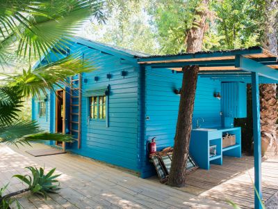 Cabane en bois bleu vif avec cuisine extérieure intégrée et évier, sur une vaste terrasse en bois. Entourée de végétation tropicale, un tronc d'arbre traverse l'espace extérieur ombragé.
