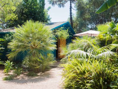 Cabane turquoise avec porte en bois, nichée dans un jardin tropical luxuriant. Un sentier sablonneux mène à l'entrée, avec un parasol extérieur partiellement visible.